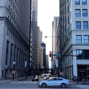 Meet your Posher, Celeste